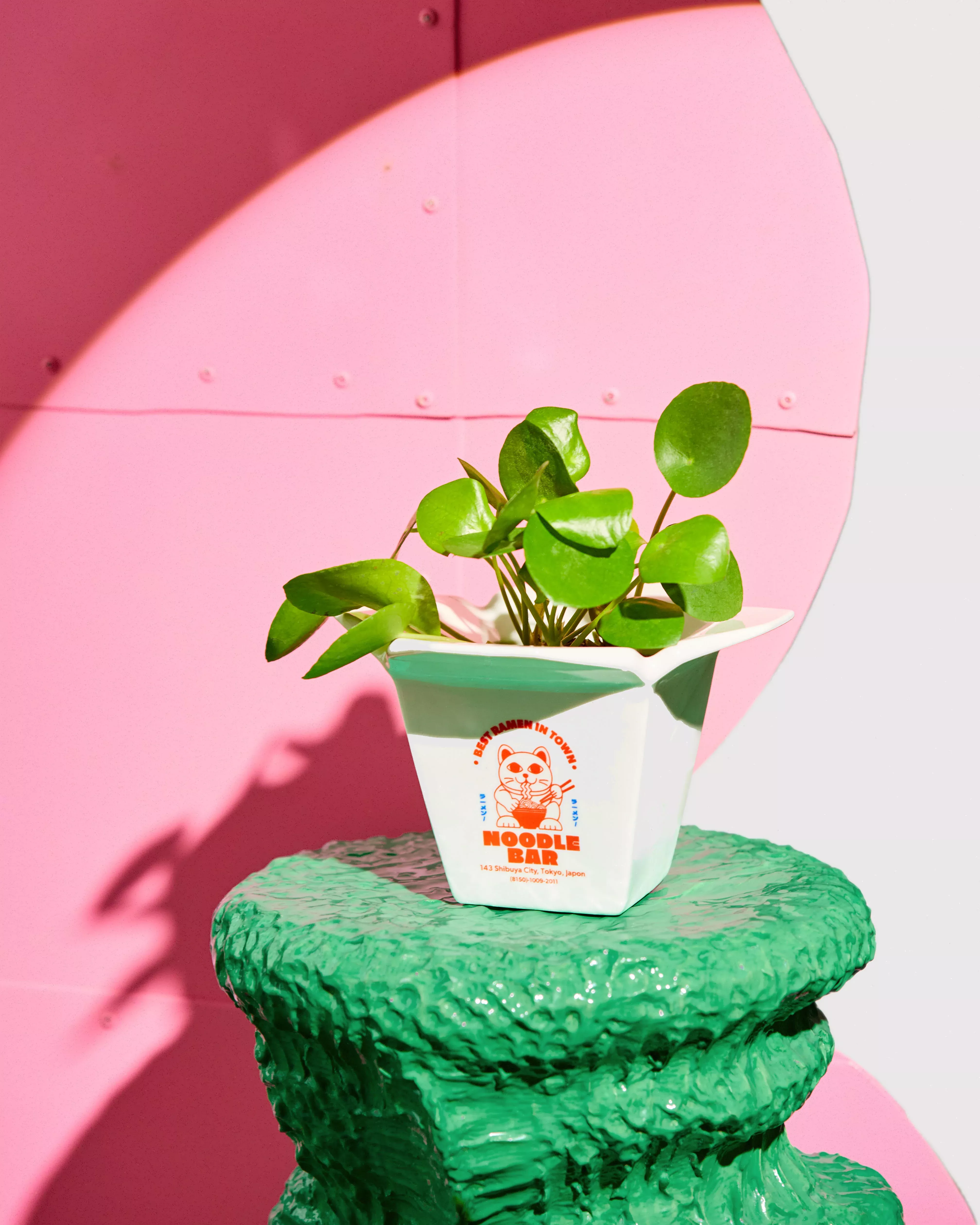 VASE RAMEN FLUID MARKET