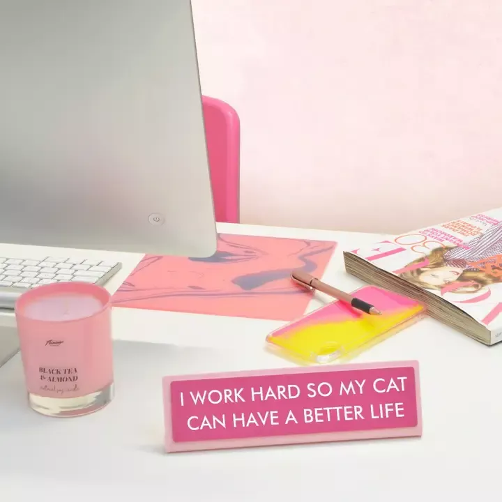 I WORK HARD SO MY CAT CAN HAVE A BETTER LIFE