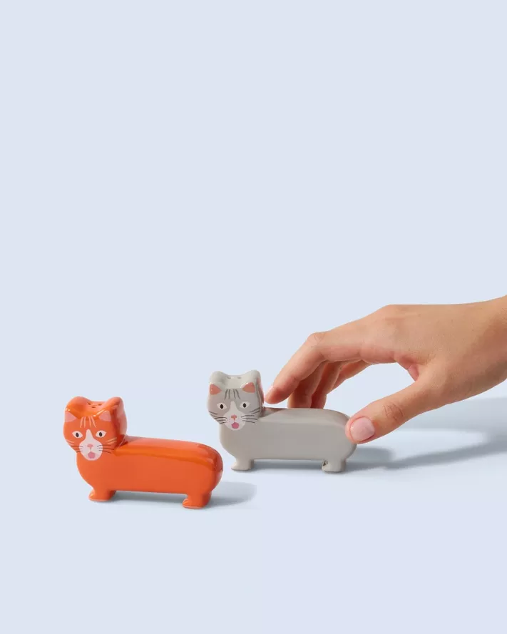 SEL ET POIVRE CHAT FLUID MARKET