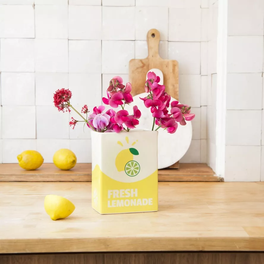 VASE BRIQUE LIMONADE L'EXPRESSIONIST
