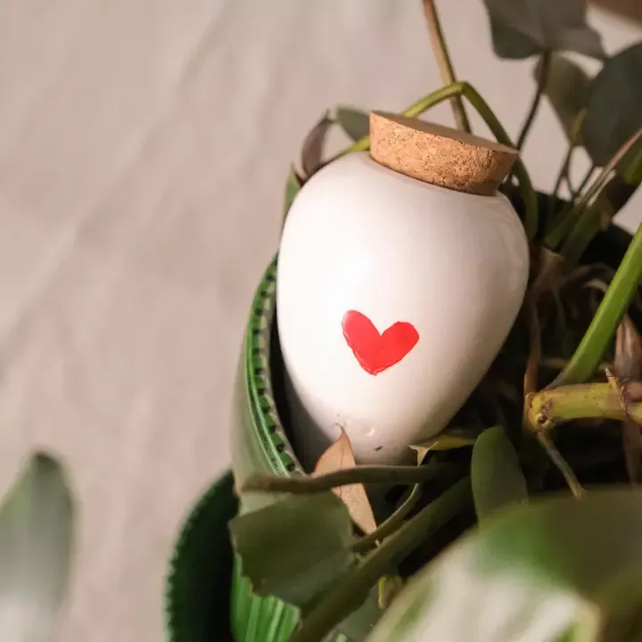 OLLA CÉRAMIQUE – PEPIN – ARROSAGE NATUREL