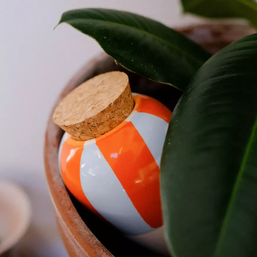 OLLA CÉRAMIQUE – PEPIN – ARROSAGE NATUREL