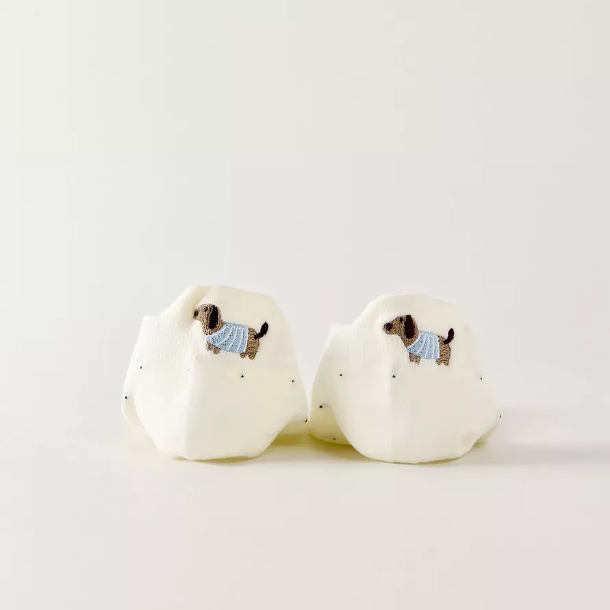 Box chien saucisse 4 paires