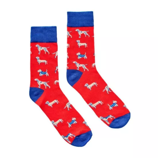 CHAUSSETTES EN BOÎTE – DOGS – GENTLEMEN’S HARDWARE – EU 41–45