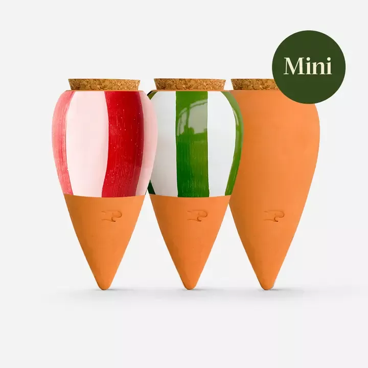 COFFRET DE 3 MINI-OLLAS – LES RAYÉS – PEPIN