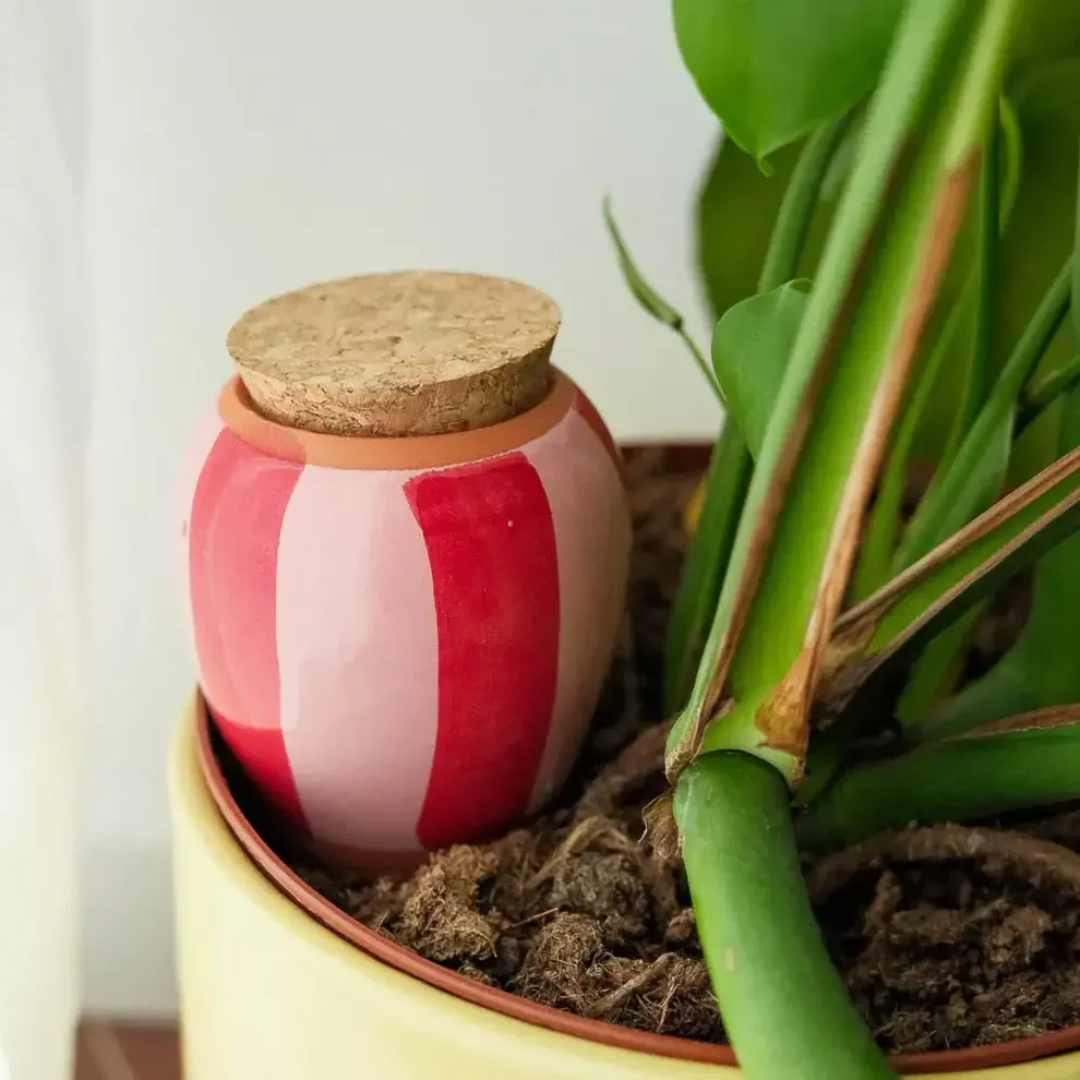 OLLA D’ARROSAGE – RAYÉ ROSE ET ROUGE – PEPIN